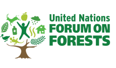 BM Orman Formu-UNFF 9-13 Mayıs 2022