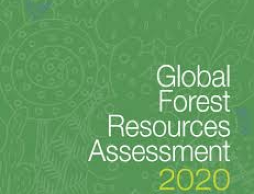 Global Forest Resources Assessment 2020- Küresel Orman Kaynakları Değerlendirmesi (FRA)