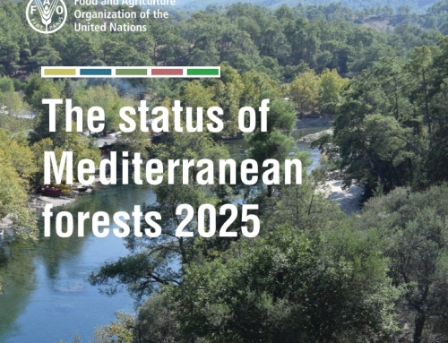 Akdeniz Ormanlarının Durumu Raporu 2025/The Status of Mediterranean Forests 2025