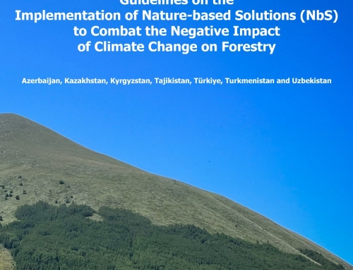 Guidelines on the Implementation of Nature-based Solutions (NbS) to Combat the Negative Impact of Climate Change on Forestry Azerbaijan, Kazakhstan, Kyrgyzstan, Tajikistan, Türkiye, Turkmenistan and Uzbekistan