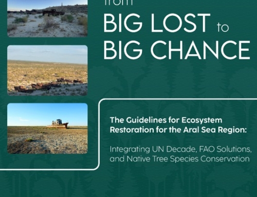 The Guidelines for Ecosystem Restoration for the Aral Sea Region Integrating UN Decade, FAO Solutions, and Native Tree Species Conservation-2024