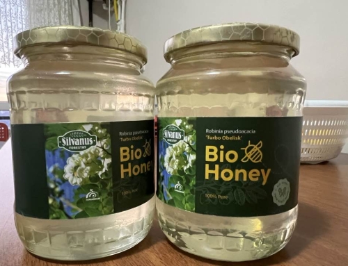 Akasya Bölgesel Konferansı Moldova’da Düzenlenecek-27 Mart 2026