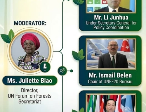 UNFF Uluslararası Ormanlar Günü Programı – 24 Mart 2026