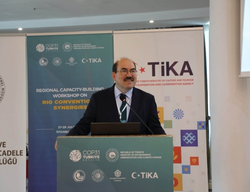 Rio Sözleşmeleri arasında bölgesel iş birliği çalıştayı-27-29 Temmuz 2026 İstanbul
