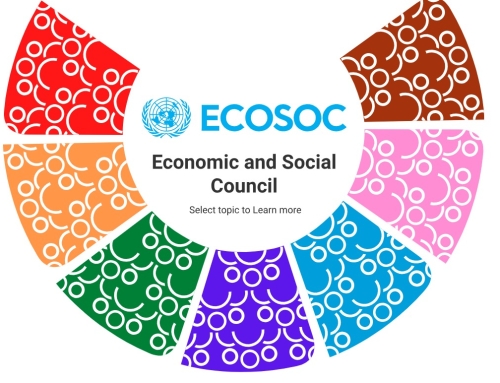 İsmail Belen, dünya ormanlarının gündemini ECOSOC’a taşıyor-21 Temmuz 2026