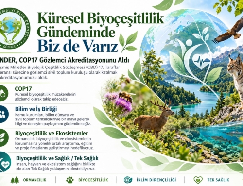 KÜRESEL BİYOÇEŞİTLİLİK GÜNDEMİNDE BİZ DE VARIZ: